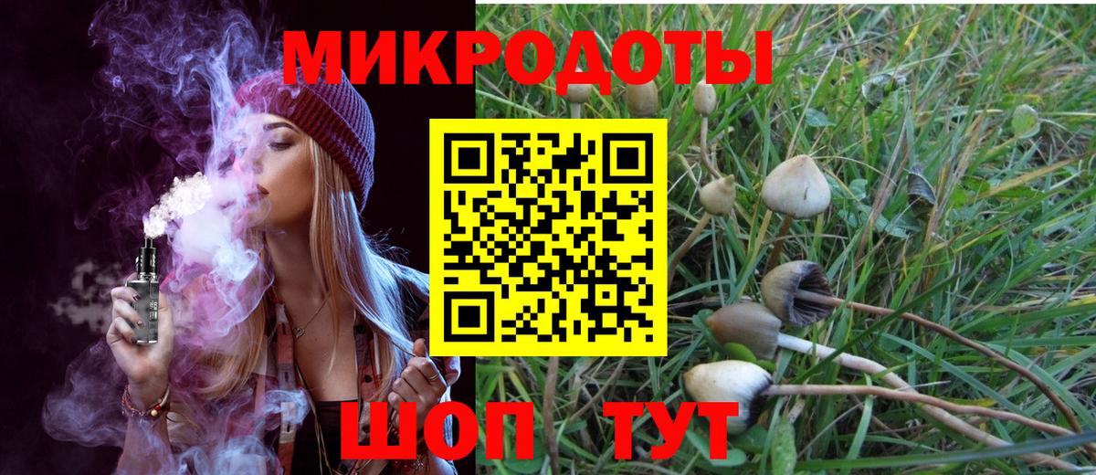 Псилоцибиновые грибы Psilocybine cubensis Малоярославец
